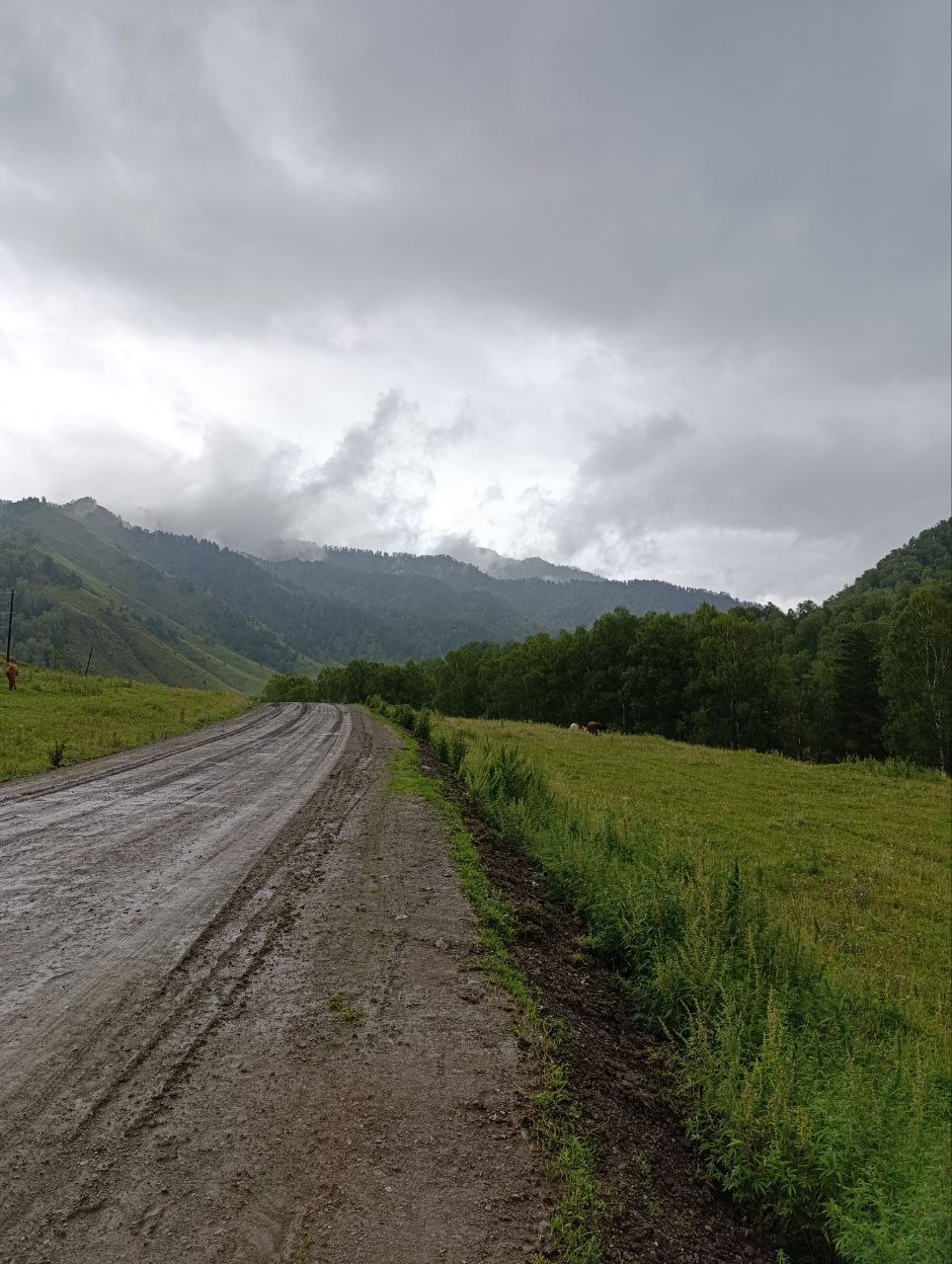 Дорога в горах после дождя